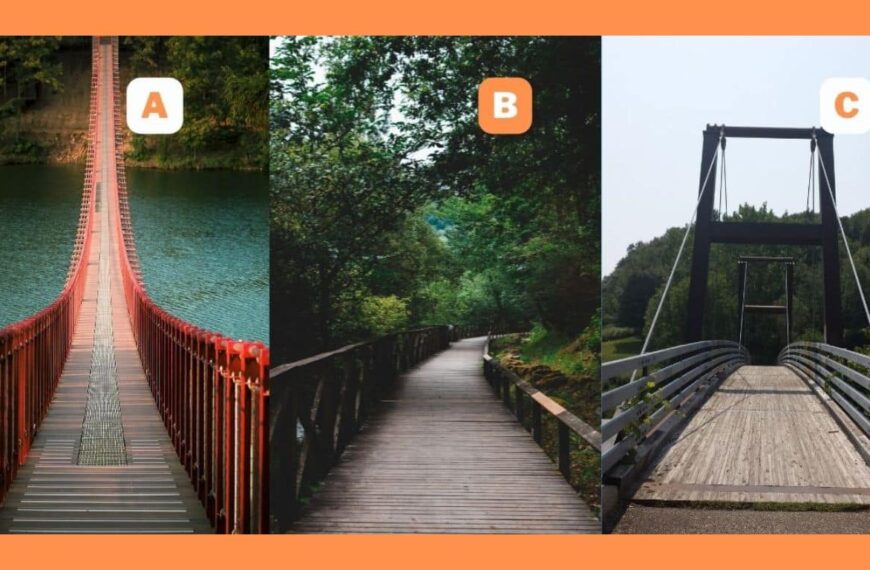 Personality test: are you ready to find out how much independence matters to you? Choose which bridge you want to cross!