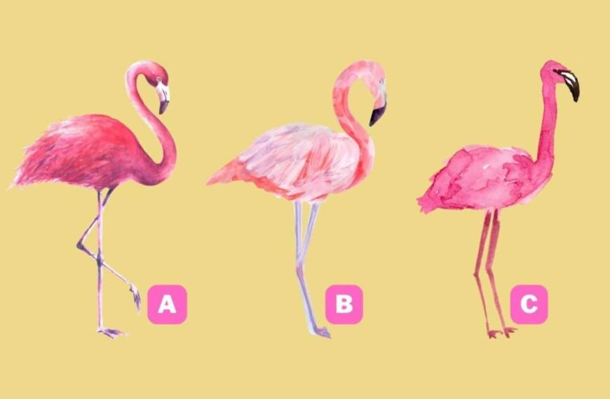 Personality test: find out if you are more modest or confident by choosing a pink flamingo!