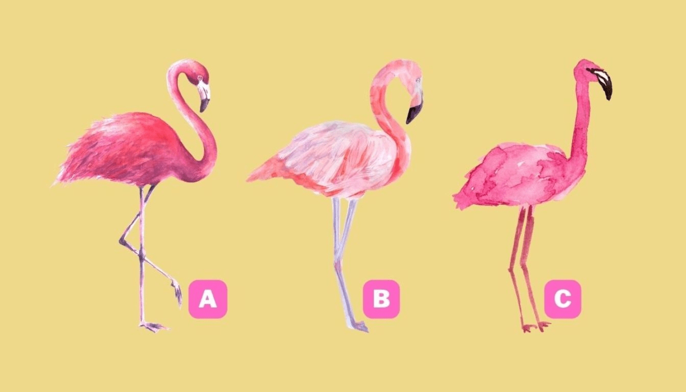 Personality test: find out if you are more modest or confident by choosing a pink flamingo!