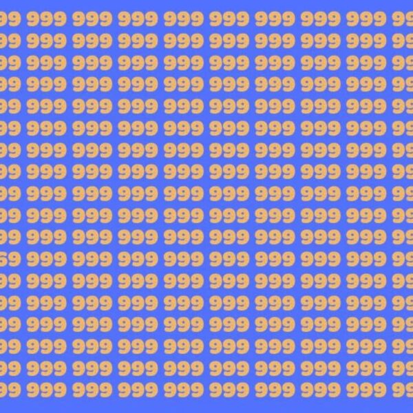 Test your detective gaze: will you be able to find the 969 hidden among the 999 in 20 seconds?