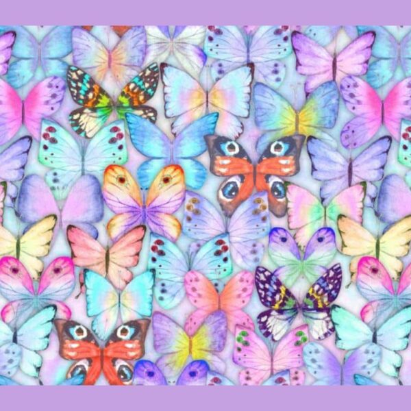 Think you have an eagle eye? Find different butterfly in just 15 seconds!