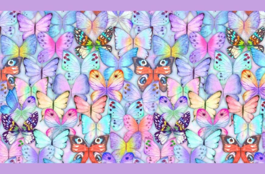 Think you have an eagle eye? Find different butterfly in just 15 seconds!