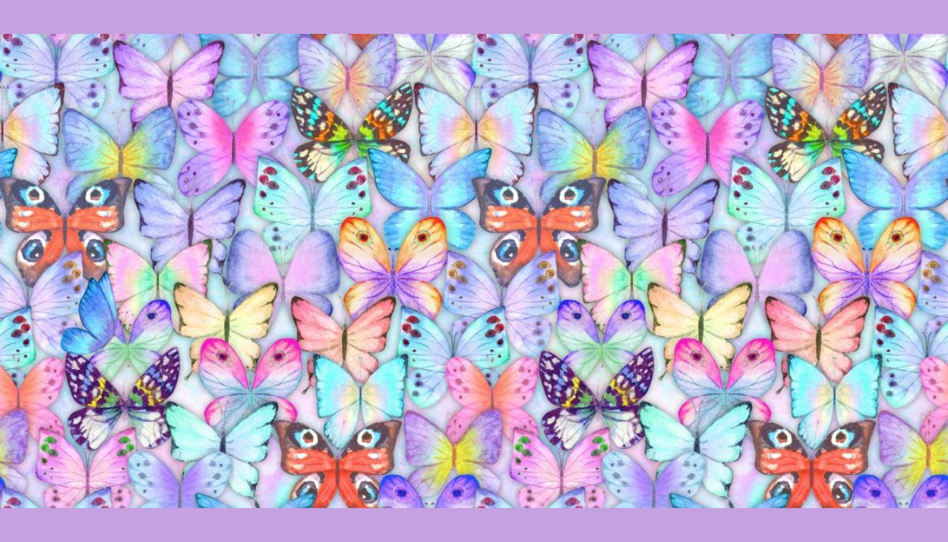 Think you have an eagle eye? Find different butterfly in just 15 seconds!