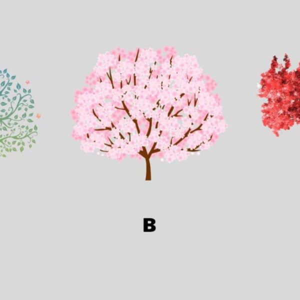 Which tree attracts you the most? Find out if your spirit is introspective or extroverted!