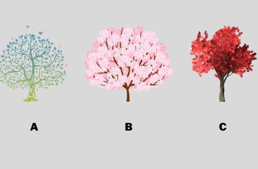 Which tree attracts you the most? Find out if your spirit is introspective or extroverted!