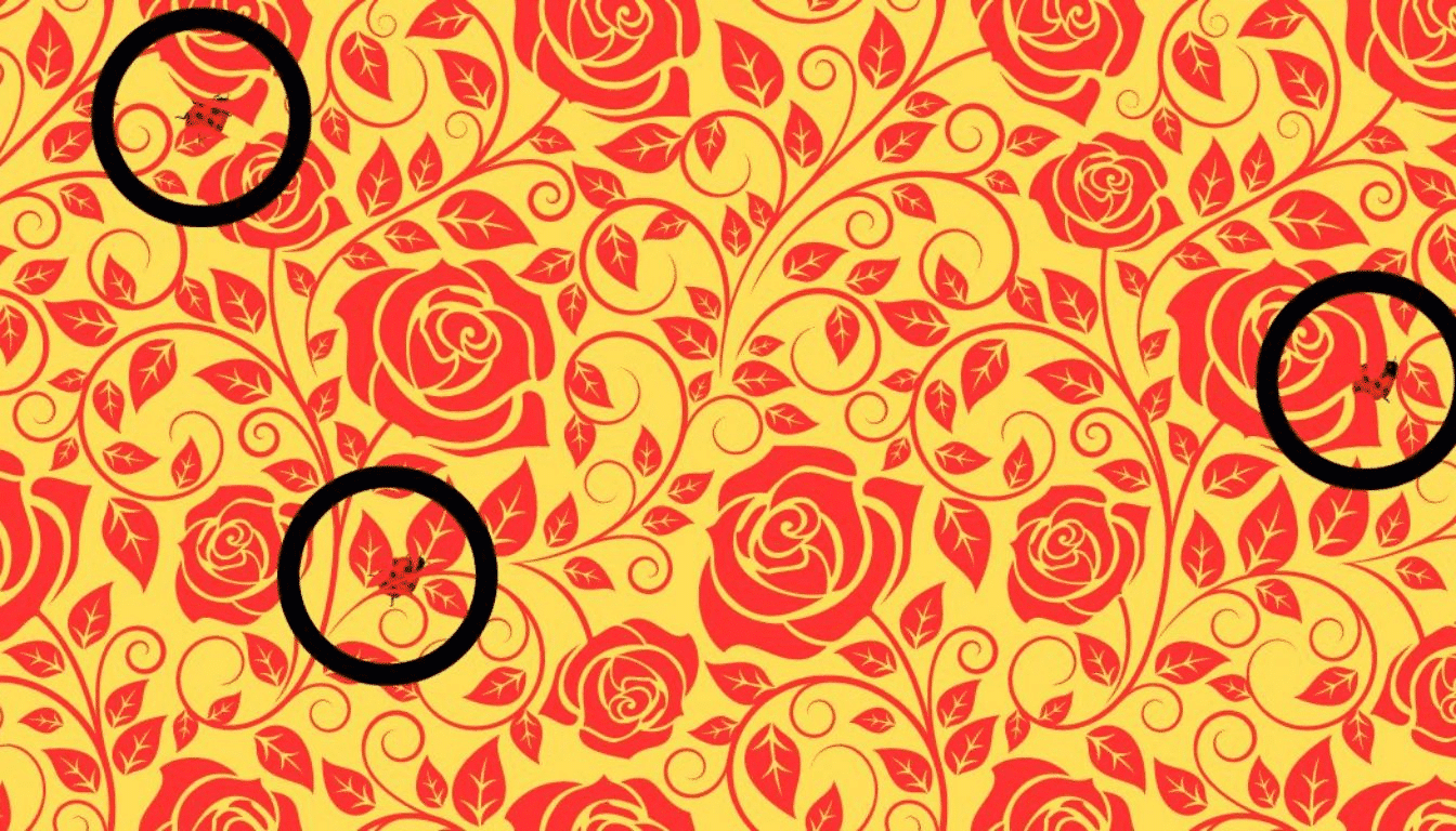 Test your vision: can you find the 3 ladybugs among the roses in 7 seconds?