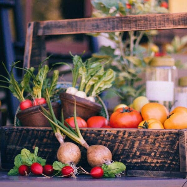 Best vegetable garden layouts for small spaces: Maximize your harvest