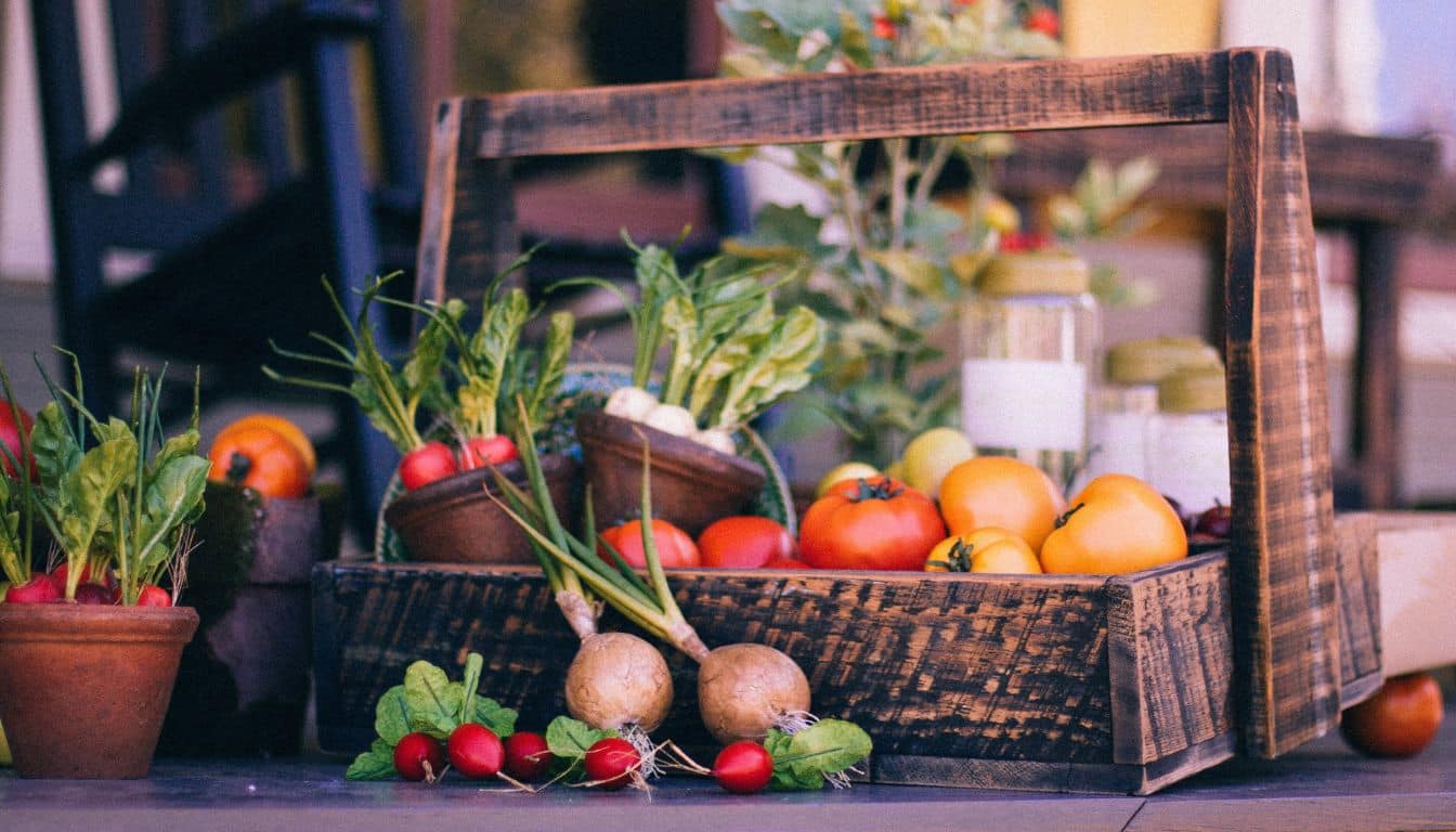 Best vegetable garden layouts for small spaces: Maximize your harvest