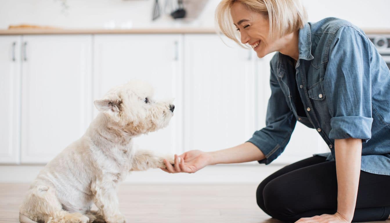 Top 12 dog breeds perfect for apartment living: Complete guide