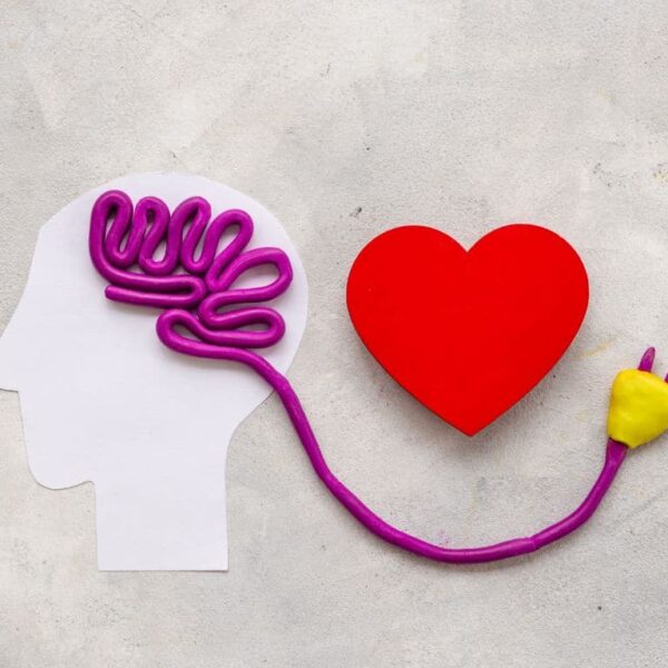 Butterflies in your stomach: here’s what really happens to your brain when you fall in love