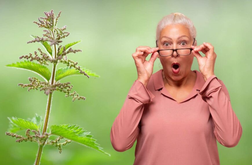 Joint pain? Discover the secret power of nettle against infections!