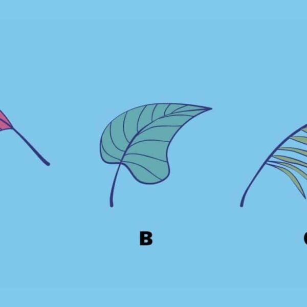 Personality Test: Pick a Leaf and Find Out What Your True Relationship to Family Traditions Reveals!