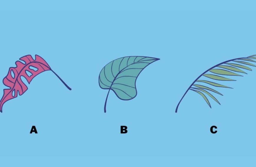 Personality Test: Pick a Leaf and Find Out What Your True Relationship to Family Traditions Reveals!