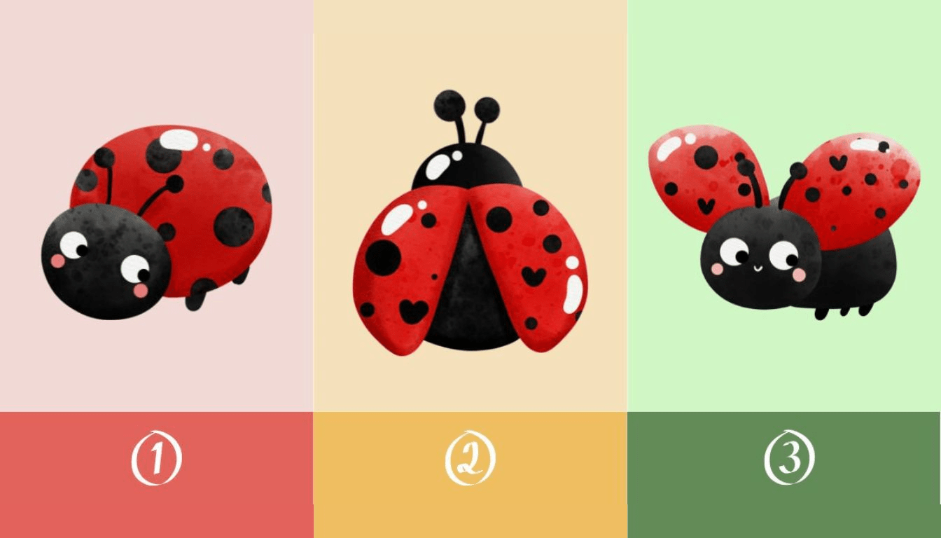 Personality test: choose a ladybug and discover your work-life balance!