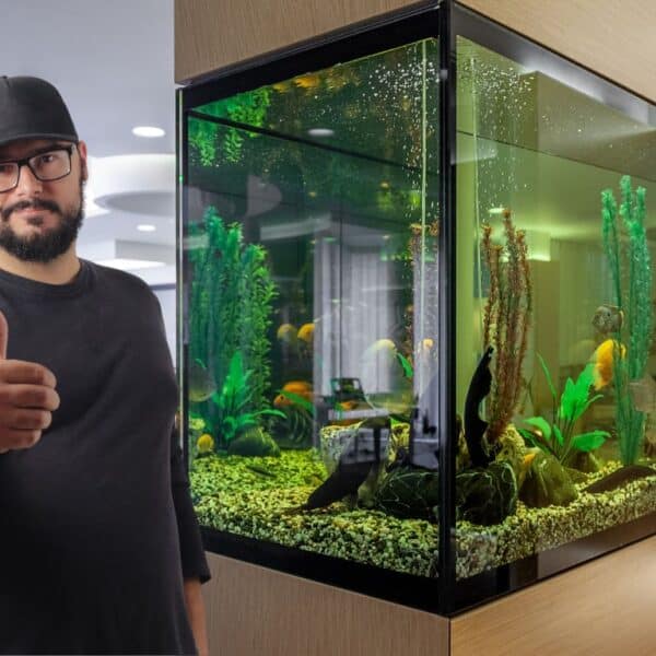 Never clean your fish tank wrong again: the ultimate maintenance guide that will save your fish's life