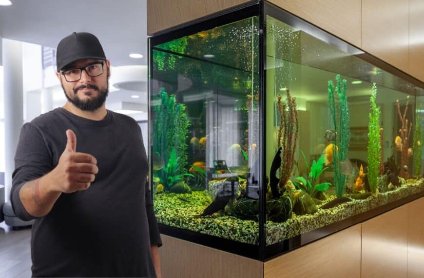 Never clean your fish tank wrong again: the ultimate maintenance guide that will save your fish's life