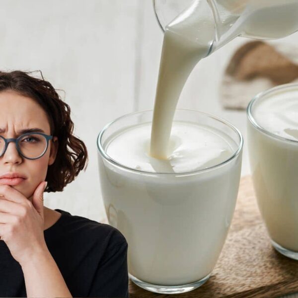 The hidden secret of kefir: why do some cost 10 times more? The truth that no one tells you