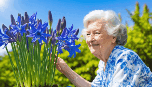 unlock the timeless wisdom of grandma's gardening secrets to help your agapanthus bloom more vibrantly than ever. discover expert tips and tricks for cultivating these stunning flowers and transforming your garden into a breathtaking oasis.