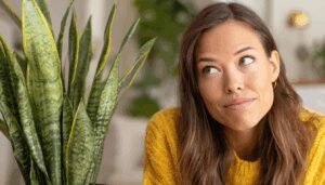 The One Watering Mistake That's Killing Your Snake Plant (Even Though It's 'Indestructible')