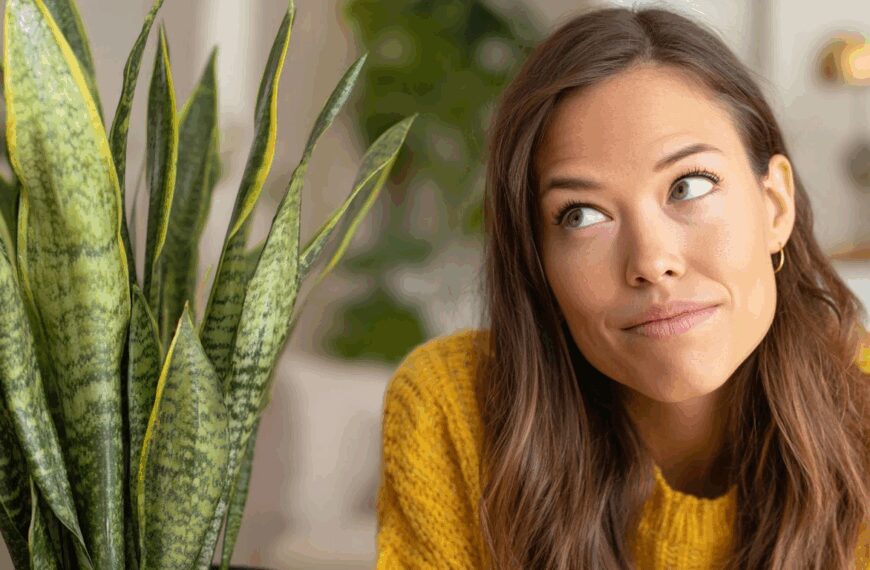 The One Watering Mistake That's Killing Your Snake Plant (Even Though It's 'Indestructible')