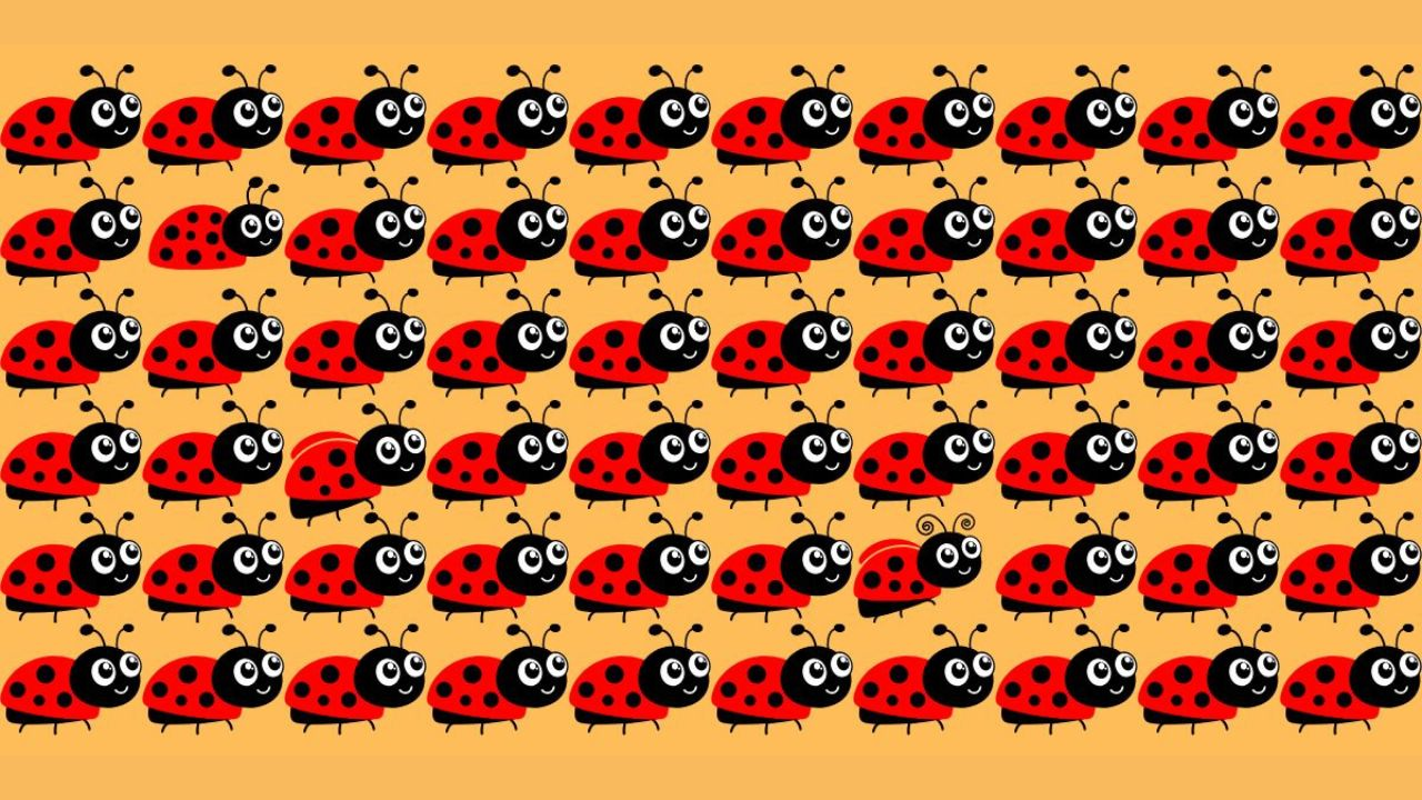 Think You Have Sharp Eyes? Prove It by Finding the 3 Different Ladybugs in 12 Seconds