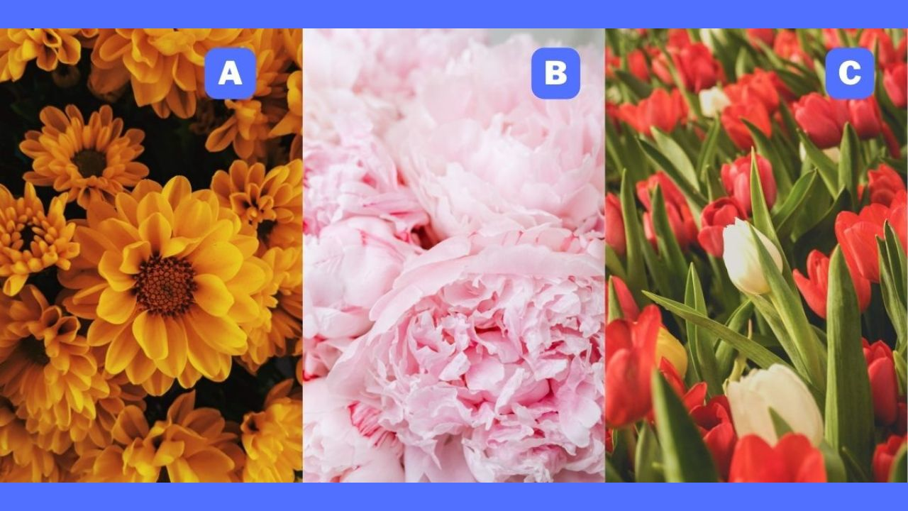 Pick Your Favorite Flower and We'll Tell You What Makes You Unique