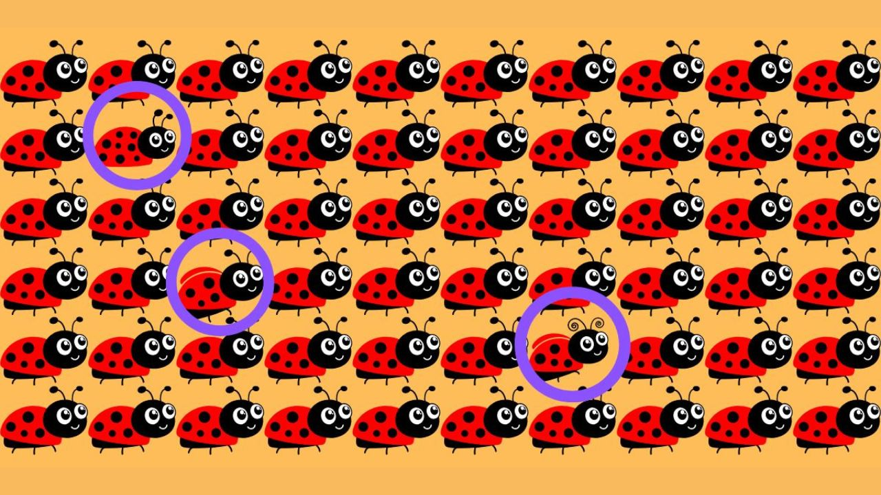 Think You Have Sharp Eyes? Prove It by Finding the 3 Different Ladybugs in 12 Seconds