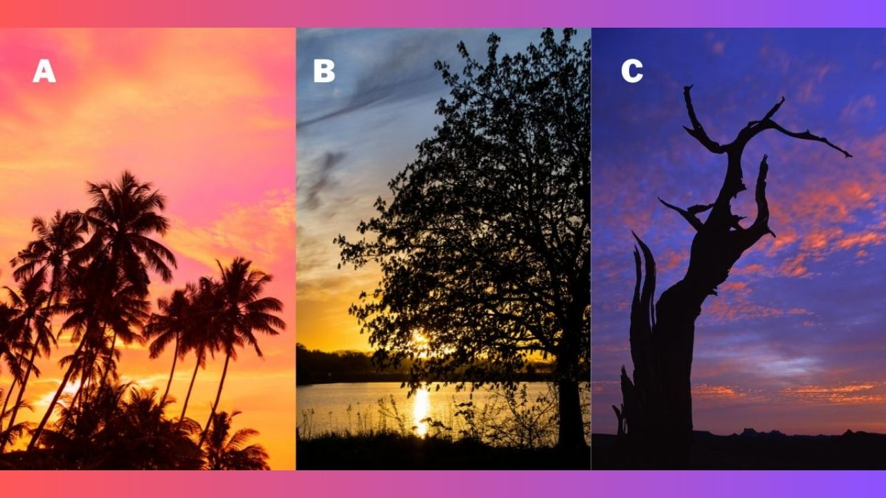 Pick a Tree at Sunset and Discover What Brings You Inner Peace