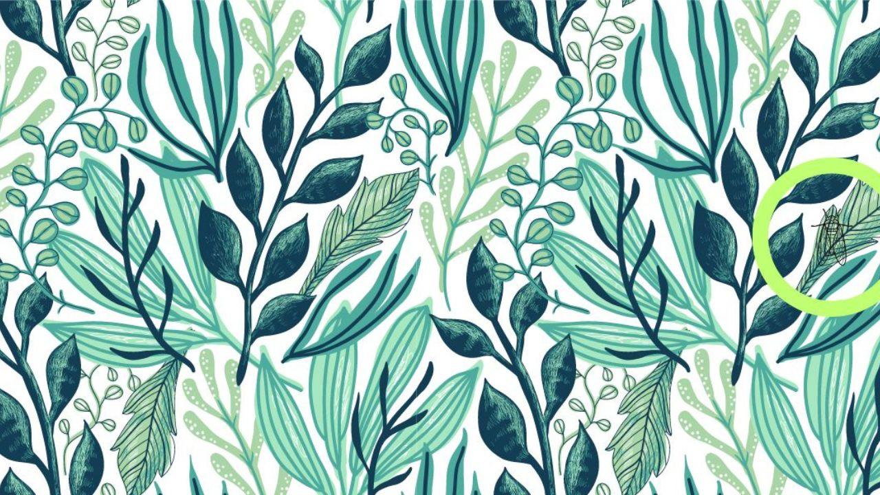Do You Really Have Eagle Eyes? Find the Butterfly Hidden in This Foliage in 8 Seconds