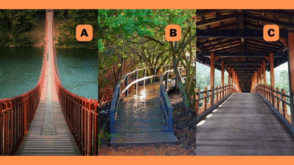 Pick a Bridge and Find Out How You Deal With Life's Major Transitions