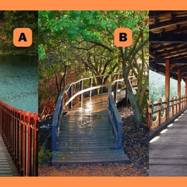 Pick a Bridge and Find Out How You Deal With Life's Major Transitions