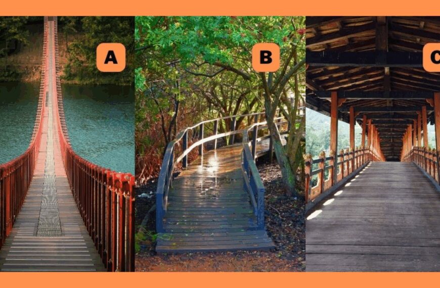 Pick a Bridge and Find Out How You Deal With Life's Major Transitions