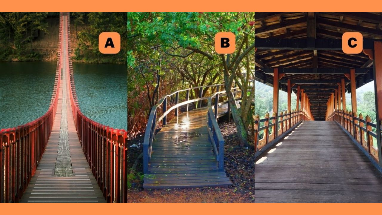 Pick a Bridge and Find Out How You Deal With Life's Major Transitions