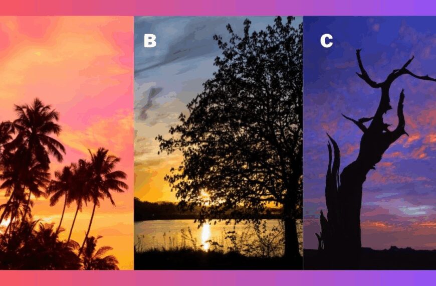 Pick a Tree at Sunset and Discover What Brings You Inner Peace