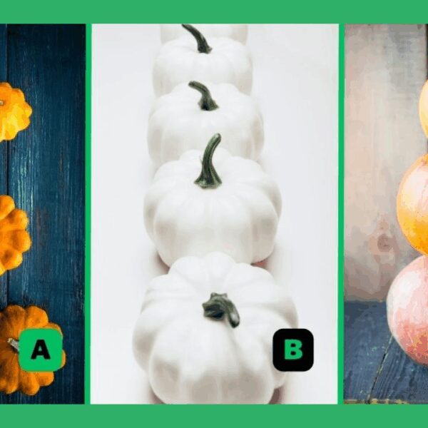 Pick One of These 3 Pumpkins and We'll Reveal Your Hidden Personality Trait