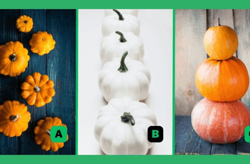 Pick One of These 3 Pumpkins and We'll Reveal Your Hidden Personality Trait