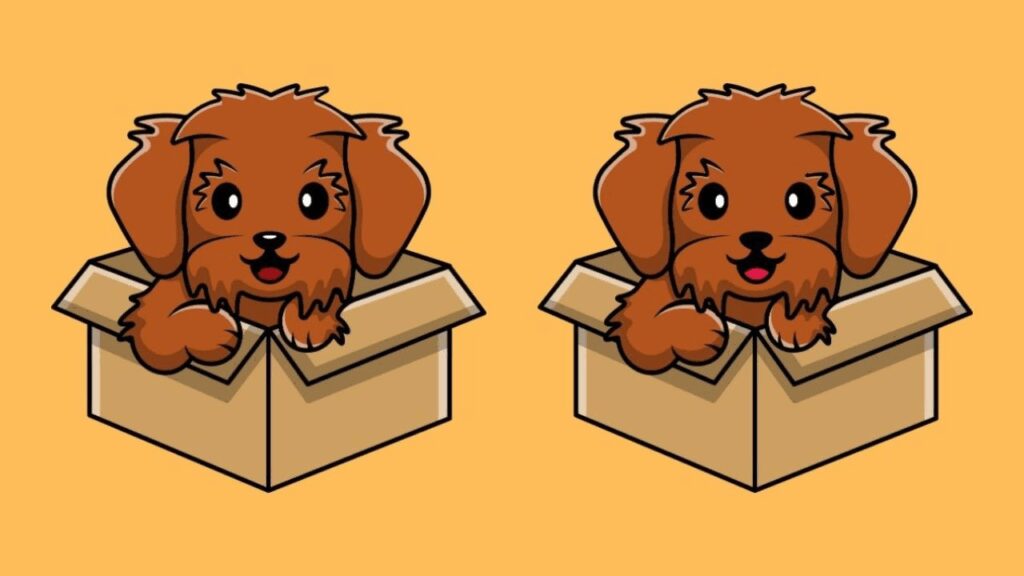 Spot the difference: Can you catch all 3 in this dog's playful scene in less than 20 seconds?