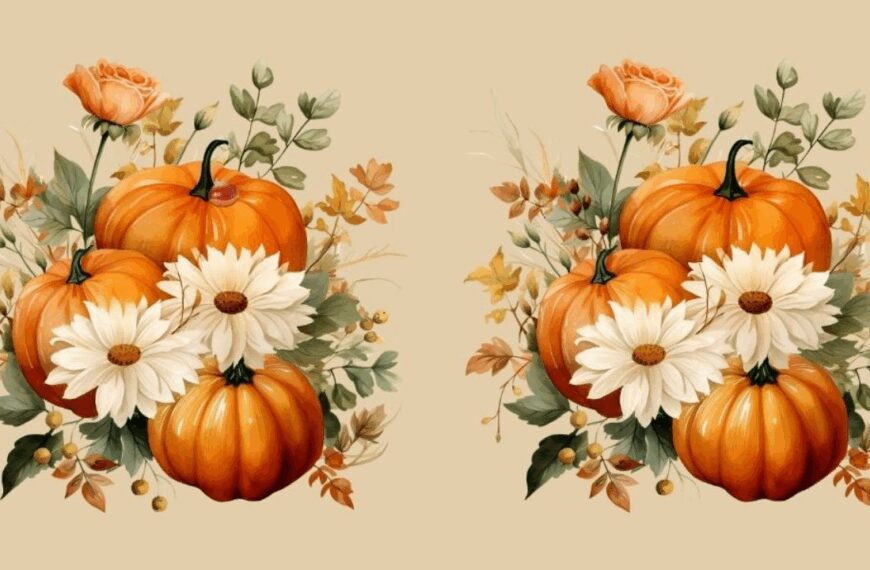 Spot the difference: Can you find all 4 in these autumnal images in less than 23 seconds?