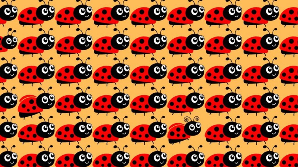 Think You Have Sharp Eyes? Prove It by Finding the 3 Different Ladybugs in 12 Seconds