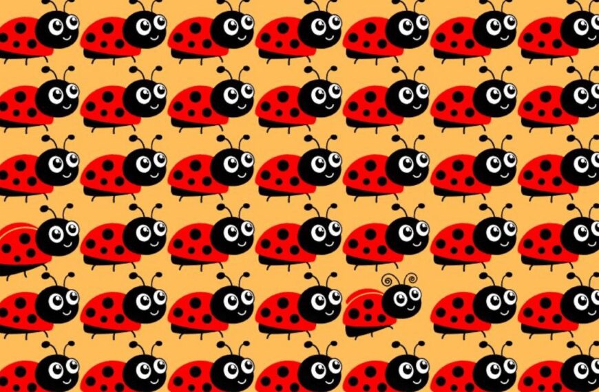 Think You Have Sharp Eyes? Prove It by Finding the 3 Different Ladybugs in 12 Seconds